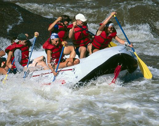 Votre organisateur de team building